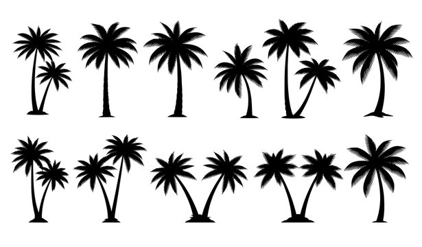 Tropical coconut palm silhouettes icon set for nature design