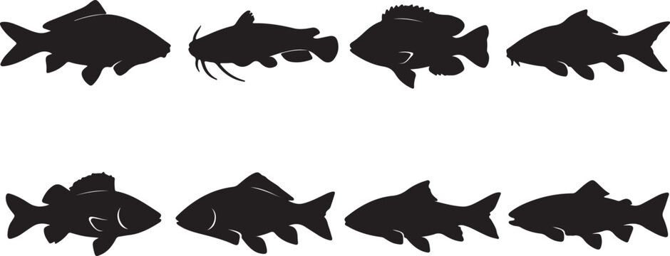 Comprehensive Set of 8 Freshwater Fish Silhouettes Vector Collection: Includes Carp, Catfish, Bass, and Trout Icons for Fishing, Aquaculture, and Seafood Logo Design Elements.