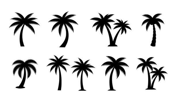 Black coconut tree icon collection isolated on white background
