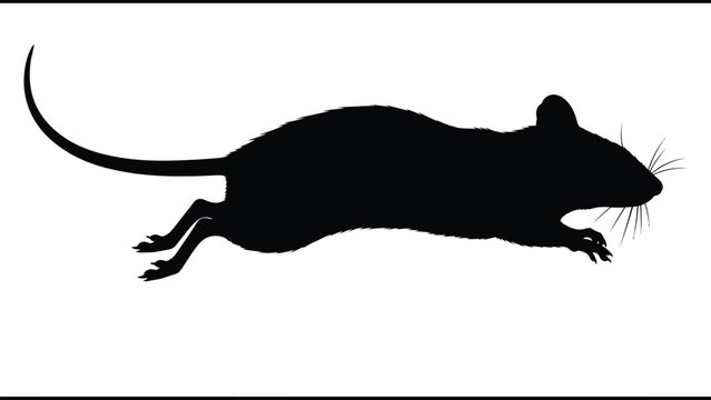 a black silhouette of a mouse running quickly against a white background