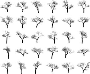 Minimal Black Leafless Tree Silhouette Collection for Landscape Composition, Nature Posters, Book Covers and Environmental Graphic Design Isolated on White Background.