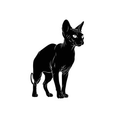 Obraz premium Hairless Sphynx Cat Silhouette Vector Illustration Isolated on White Background for Pet Design