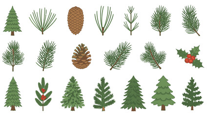 Digital illustration of various Christmas trees, pine branches, and holly on a white background in a flat lay composition. © Langit