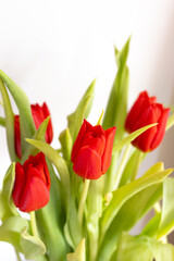 Naklejka premium Close-up of a red tulip with green leaves on a white background, photographed with shallow depth of field. Minimalist floral image expressing spring freshness, elegance, and natural beauty.