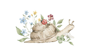 Watercolor brown snail with ladybug, flowers and leaves © Kate K.