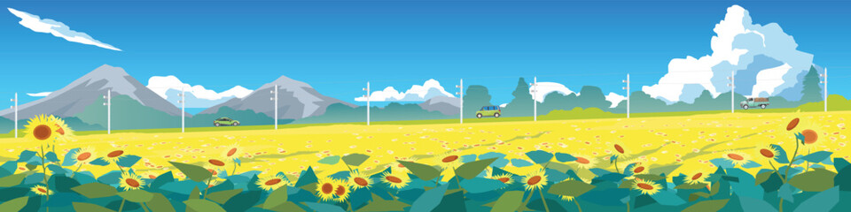Fototapeta premium Landscape flat Illustration of Sunflower Field Landscape with Mountains. Cars on Rural Road with electric pole side of road. and Blue Sky with Clouds. Summer Countryside Scenery Panorama.