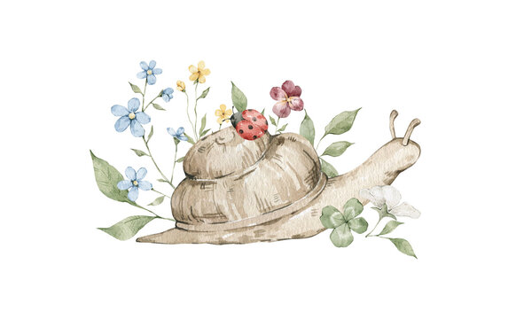 Watercolor brown snail with ladybug, flowers and leaves