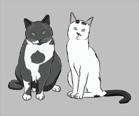 Two Cats Illustration Grey White Feline Pair Cartoon Pet Characters Sitting