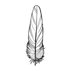 outline realistic feather