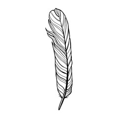 outline realistic feather