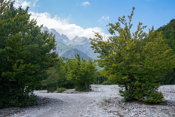 Remote Mountain Wilderness in the Valbona Valley, Albanian Alps