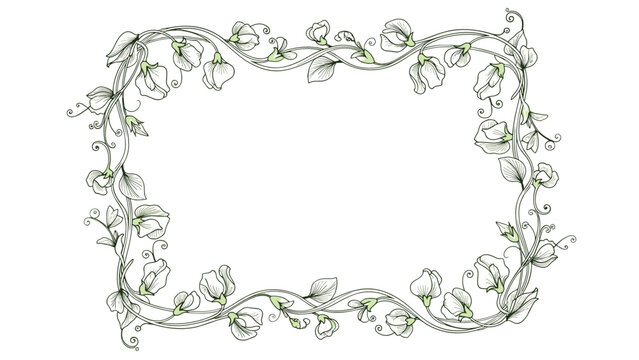 Elegant rectangular frame made of delicate green vines and small white flowers with curved artistic flourishes for border designs.