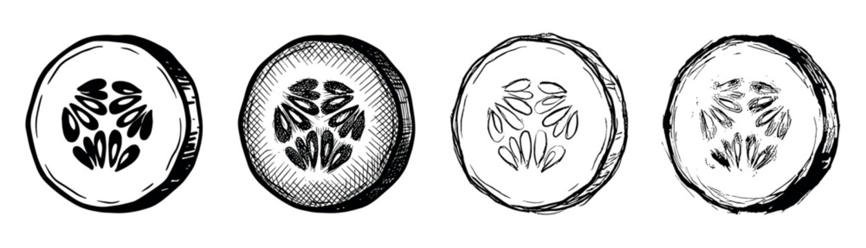 Four hand-drawn cucumber slices in a row, showcasing different artistic sketch styles from clean outlines to detailed cross-hatching in a black and white graphic illustration set