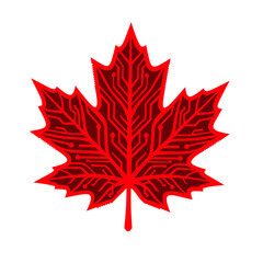 vector illustration of a canada maple leaf