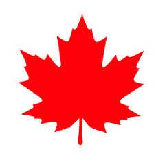 vector illustration of a canada maple leaf