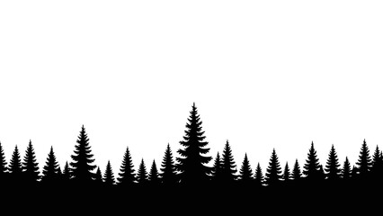 Fototapeta premium Silhouette of a pine tree forest.
