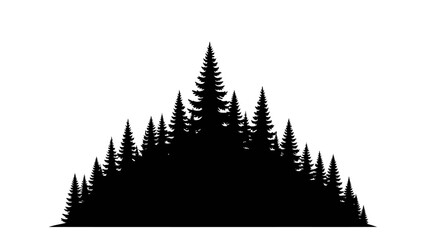 Obraz premium Silhouette of a Pine Forest.
