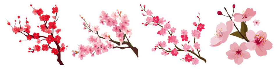 Obraz premium Cherry Blossom Delicate and Symbolic Floral Bloom Flat Vector Illustration on Transparent Background
