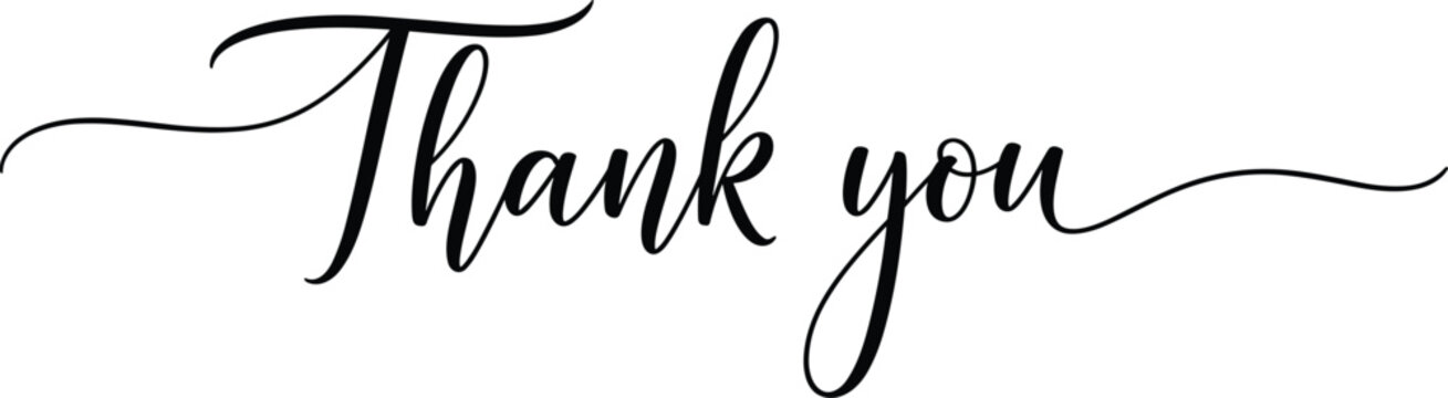 Elegant Script " Thank You" Vector Text Design Element  illustration icon silhouette