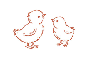 Spring cute handdrawn illustration of two small baby chicks in outline style, perfect for easter or spring themes © Lazy