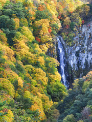 紅葉の澗満滝