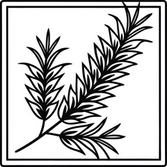 Fototapeta premium black and white background