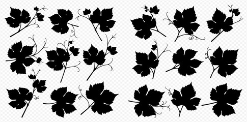 Collection of detailed black grape leaf and vine silhouettes on a transparent background, perfect for design elements and natural motifs. © Akun