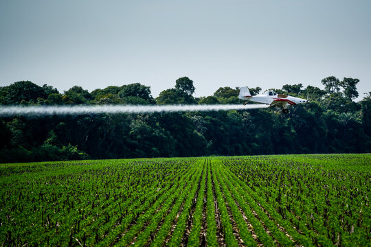 Aerial aircraft spraying agricultural pesticides, fertilizers, and seeds by plane in a soybean plantation on a farm in the Amazon. Concept of agriculture, crop, ecology, environment, airplane.