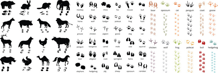 Wild and domestic animals silhouettes with matching paw prints set © AR Vectoria