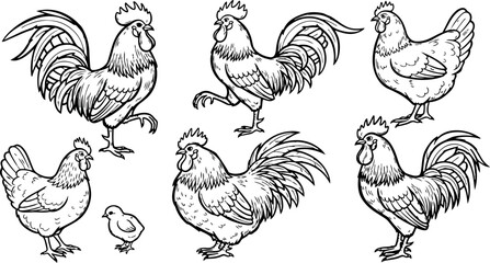 Black and white line art collection of roosters hens and chick in various poses rural farm birds illustration set detailed pen drawing composition © PixelPaletteArt