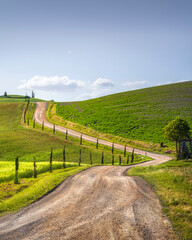 Naklejka premium Via Francigena Winding Road with Cypress Trees, Tuscany