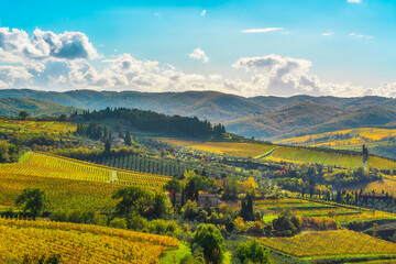 Naklejka premium Autumn Vineyards Panorama in Panzano in Chianti, Tuscany