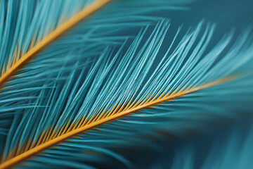 Obraz premium Close up macro shot of a single blue feather with a yellow stem. Abstract natural pattern for art and design backgrounds. Texture banner.
