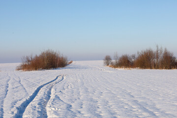 Obraz premium Deep car tire tracks cut through a vast snow-covered field towards distant bushes on the horizon. The clear blue sky and bright winter sun emphasize the texture of the snow cover, creating an atmosphe