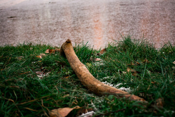 Obraz premium Abstract winter still life with dark ice, deep black water and textured stone. Sharp frozen edges and scattered snow crystals create a dramatic contrast, evoking stillness, depth and the raw beauty of