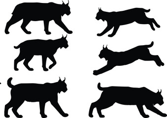 Black silhouette of wild lynx cats in various poses including walking jumping and running representing bobcat wildlife behavior and predatory movement © MdSirajul