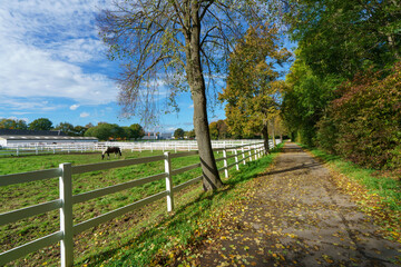 Fototapeta premium Wide view of a professional horse riding facility featuring a large white stable building equipped