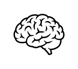 Detailed outline drawing of a human brain from the side  brain anatomy