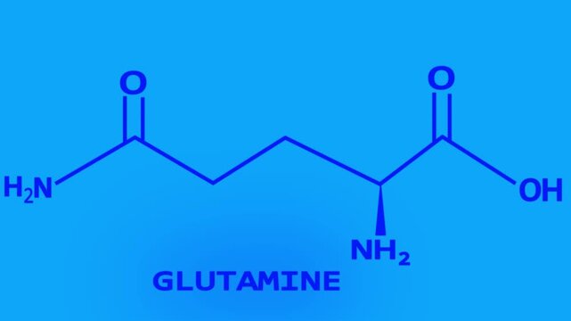 Glutamine Molecular Structure Displayed on tranasparant Backgrounds 4k video