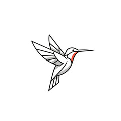 Fototapeta premium A white hummingbird in flight against a black background