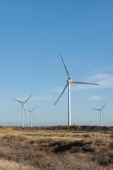 Wind farm against blue sky. Sustainable, clean energy sources.
