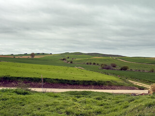 Fototapeta premium Rolling green fields under cloudy skies in Palencia