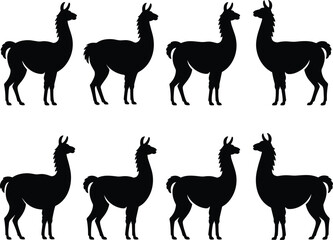 Obraz premium Llama silhouette collection set, black alpaca animal shapes isolated, wildlife farm illustration, minimalist vector design for nature themed graphics