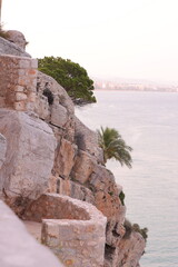 Rocky shore by the sea with a tree and a palm tree © Iana Andrushchenko
