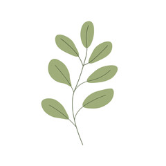 Fototapeta premium Floral element vector illustration, abstract plant design, digital flower graphic 