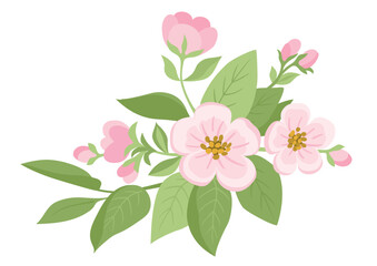 Spring flowers. Apple tree blossom with green leaves on white background