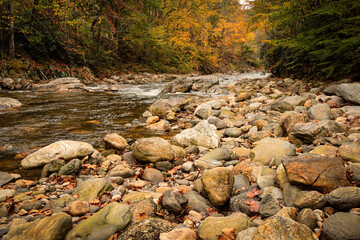 Fall Colors on the PIgeon River in Maggie Valley, North Carolina
