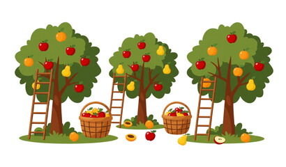 Cartoon orchard trees with apples, pears, and apricots vector illustration set © SobujChandra