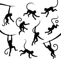 Playful monkey silhouette illustration set showing jumping swinging climbing primates in various dynamic poses isolated on white background for wildlife and design concepts © Sawda's World