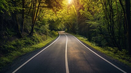 Obraz premium Winding road stretches through a vibrant green forest, with sunlight streaming through the trees, creating a peaceful and inviting atmosphere in nature
